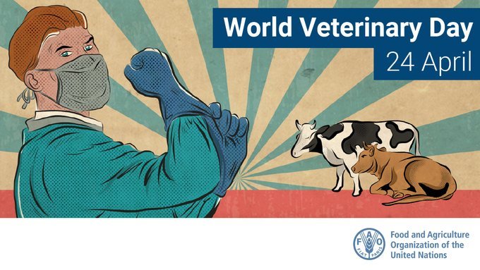 30th April 2024 - World Veterinary Day HD Photos